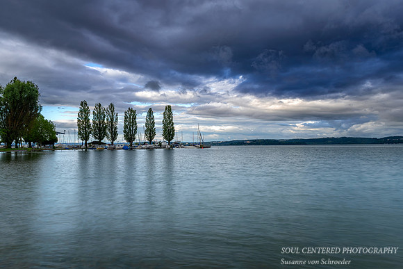 Unteruhldingen, harbor with Poplar trees