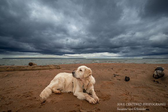 Shanti at Lake Superior, Nov. '23 1