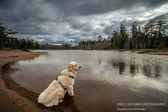 Shanti at Lake Superior, Nov. '23 4