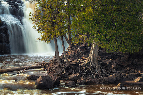 At Gooseberry Lower falls, roots 3