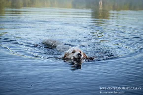 Shanti swimming, end August '23 1