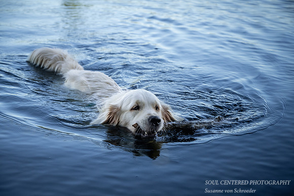Shanti swimming, end August '23 2