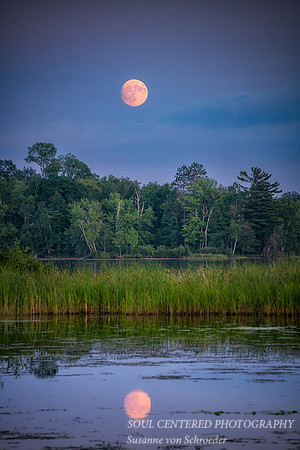 August full moon rising, Chippewa Flowage, '25 4
