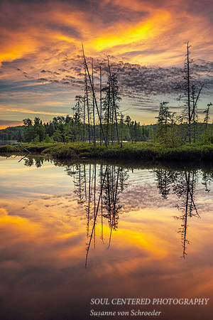 Sunset colors and reflections