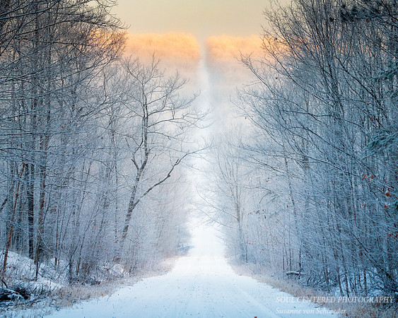 Frost and fog, road 2