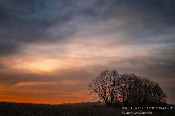 November sunrise, soft colors