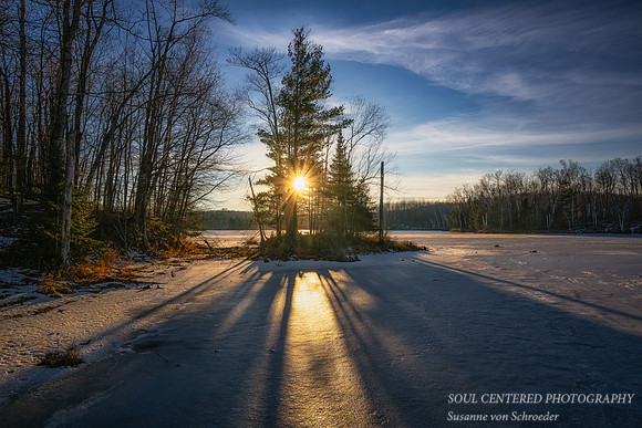 Winter sun and shadows. Jan. '24