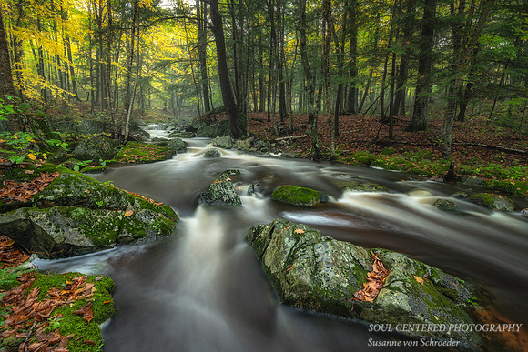 Becky's Creek, foggy fall evening 1, '19