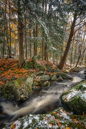 First snowfall, Becky's Creek 2