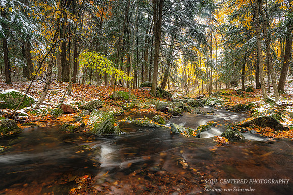 First snowfall, Becky's Creek 5