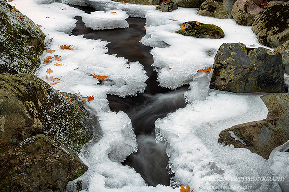 Frozen Creek, close-up