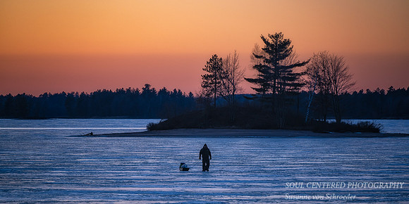 Ice fisher man returning, Febr. '24, panorama