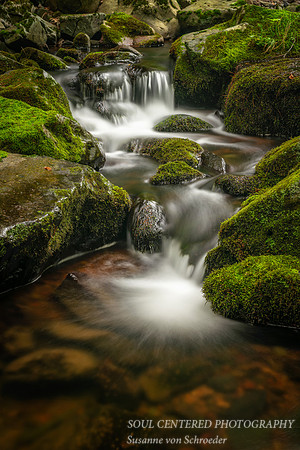 Creek with mossy rocks in the Blue Hills, 8.'18