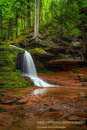 Lost Creek Falls, with forest, May '21 1