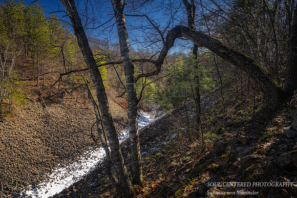 Blue Hills Felsenmeer, early March '24 1