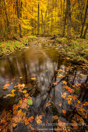 Rock Creek in autumn 3