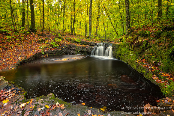 Devil's Kettle, swirling leaves  '19 2