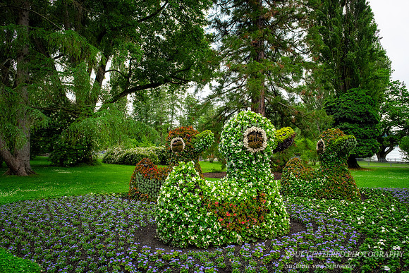 Floral Ducks, Insel Mainau