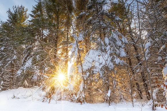 Sun rays & light