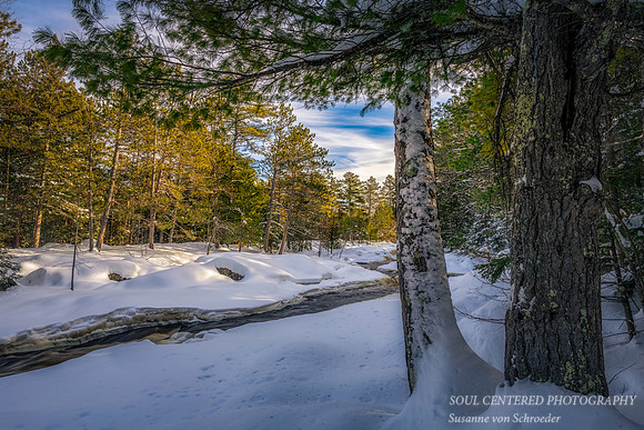 Winter along the Amnicon River 2