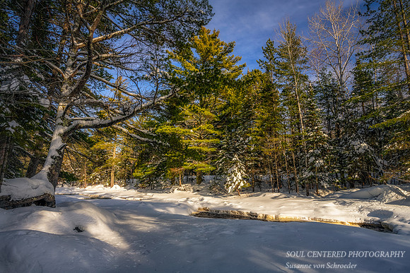 Winter along the Amnicon River 1