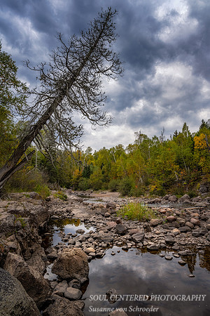At the Temperance River, 2021 3