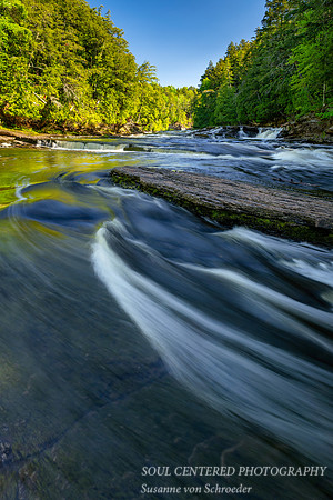 Presque Isle river, June 2020 2