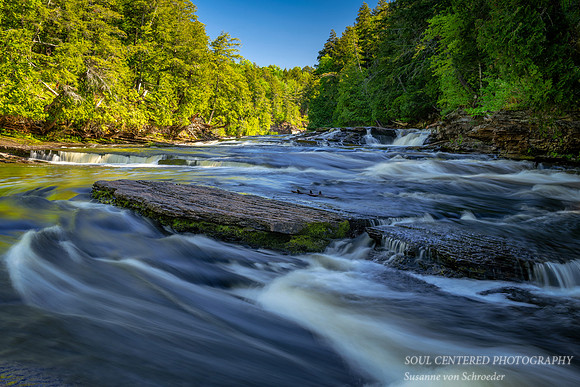Presque Isle river, June 2020 4