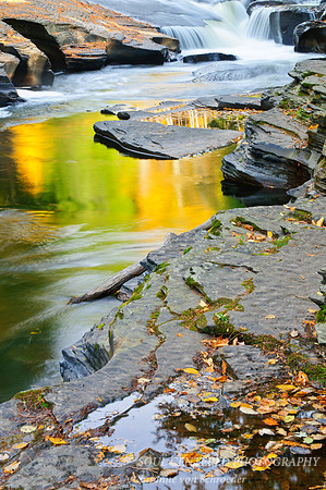 Presque Isle river, reflection 1
