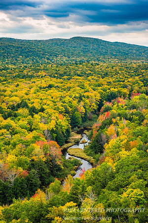 Carp River with fall colors