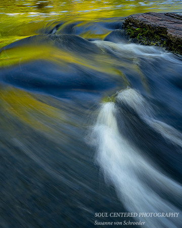 Presque Isle river, close-up, June 2020