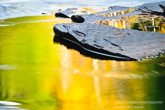 Presque Isle river, reflection 4