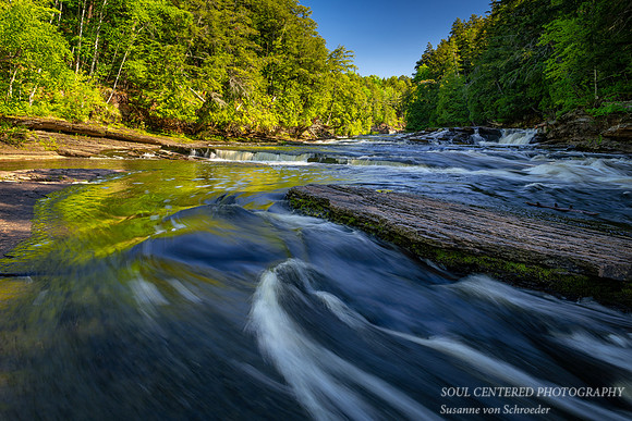 Presque Isle river, June 2020 3