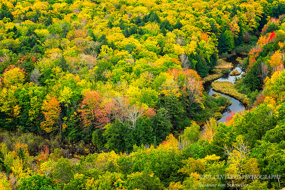 Carp River, close-up