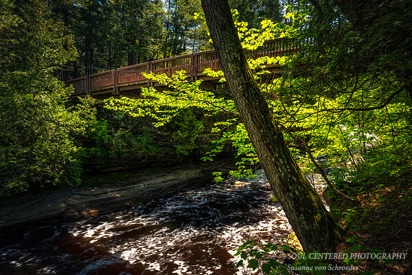 Presque Isle river, with bridge, June 2020 2
