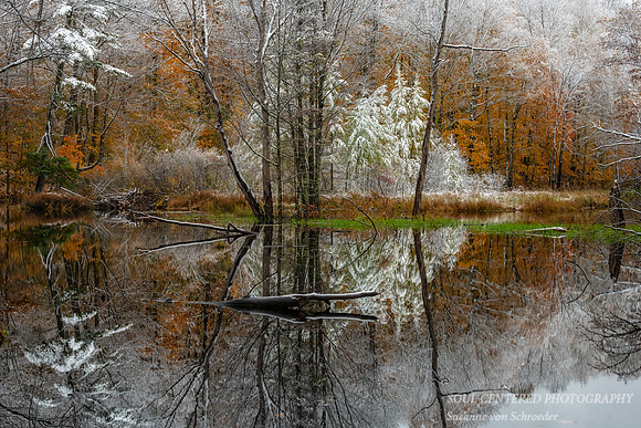 A scene out of a Fairy Tale