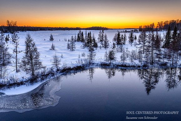 Blue Hour, winter landscape, bog