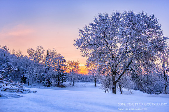 Sunrise after snowstorm