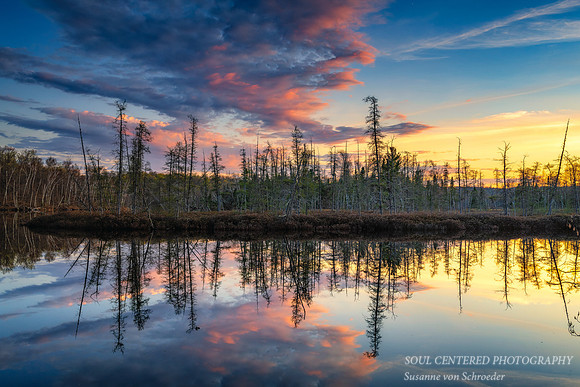 Floating bog at sunset