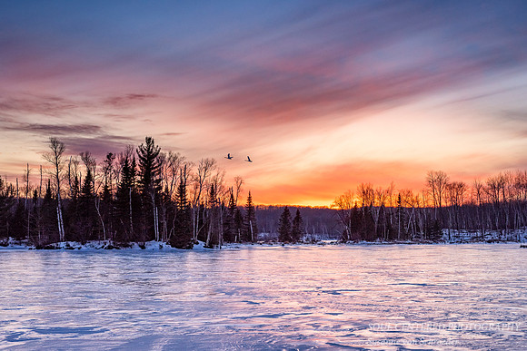 Sunset colors with 2 swans
