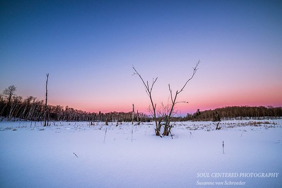 Blue hour on Audie Lake