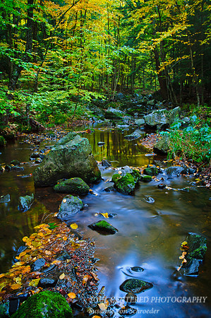 Creek in Blue Hills 1