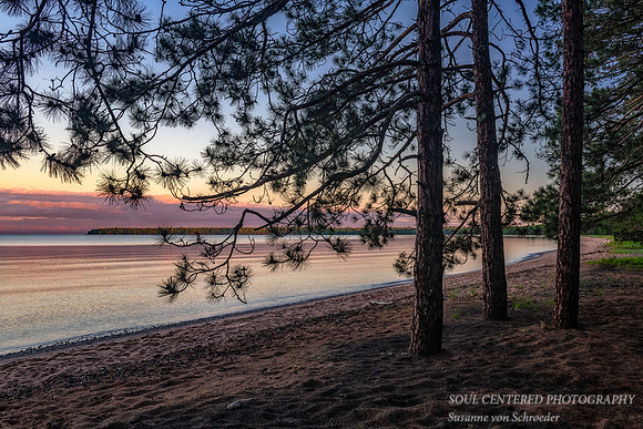 Sunset colors and Pine trees