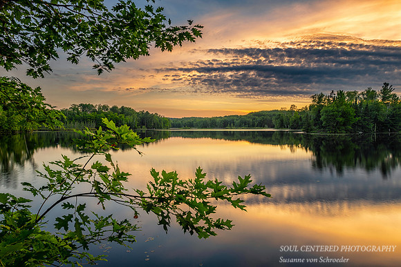 Sunset colors, 2019