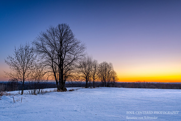 Winter dawn, Blue Hills