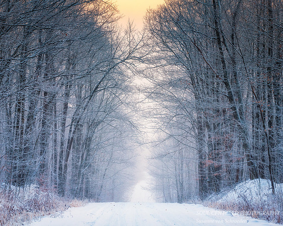 Frost and fog, road 3