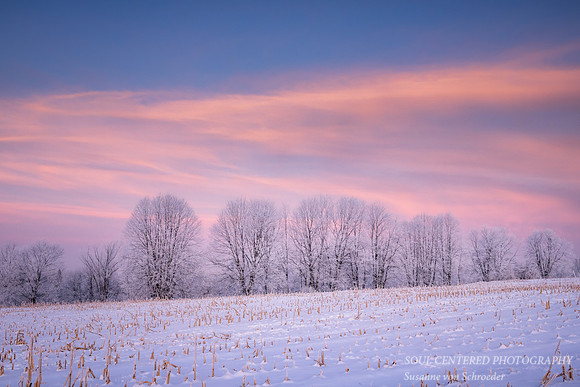 Colors of dawn
