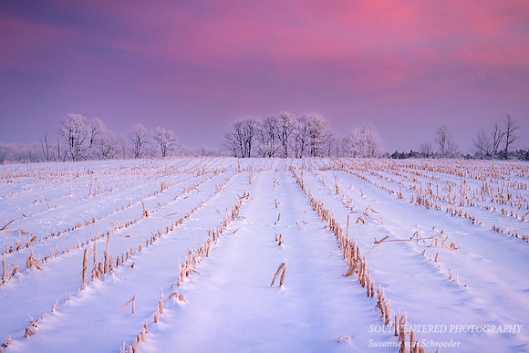 Colors of Dawn, blue hour