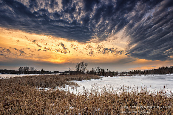 Sunset colors with cattails