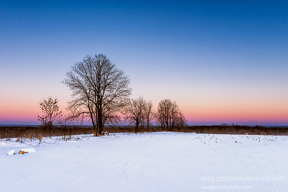 Waiting for the moon rise